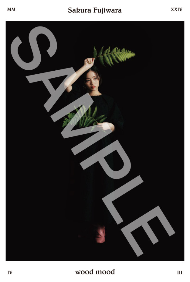 NEWS | 藤原さくら オフィシャルファンクラブ「Meating」